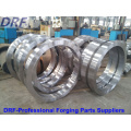 Ring Flange Factory